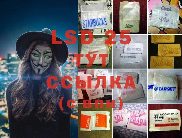 трава Магас
